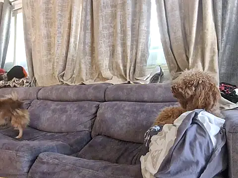 Alexis21821 online show from 12-03-25, 07:05