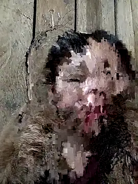 bonnie-00 online show from 11-15-25, 11:40