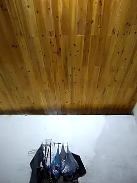 Snapshot of Dung_x chatting on 10-04-25, 11:52 Dung x online show from 10-04-25, 11:52