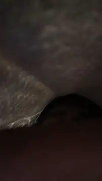 panganamno online show from 11-15-25, 05:09