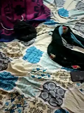 monarani5986 online show from 11-20-25, 06:29