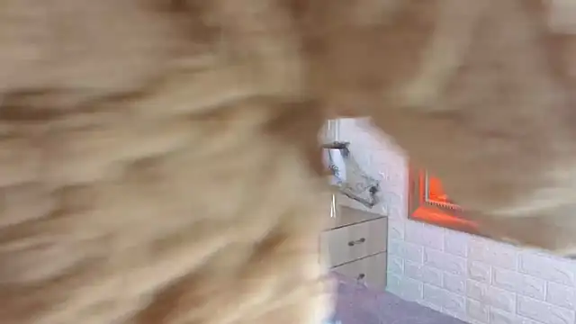 sofiagutierrez   online show from 10-09-25, 03:04