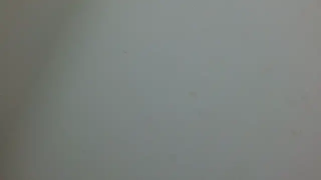Snapshot of cristal1609 chatting on 05-14-26, 01:07 cristal1609 online show from 05-14-26, 01:07