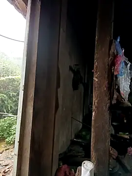 tulipsexy online show from 10-16-25, 12:44