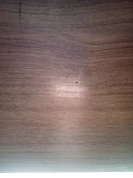 ValeriaLove43211 online show from 12-17-25, 07:36