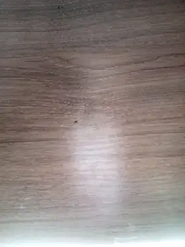 ValeriaLove43211 online show from 03-13-26, 06:31