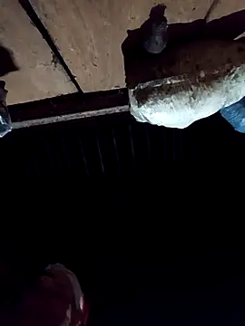 callistra online show from 12-02-25, 02:56