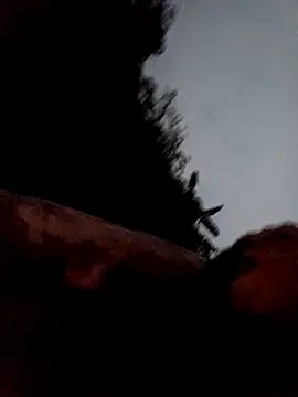 callistra online show from 03-13-26, 11:28