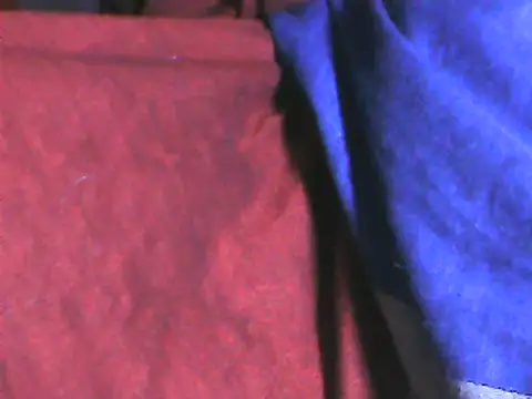 Snapshot of DailyRoadma chatting on 02-04-26, 04:13 DailyRoadma online show from 02-04-26, 04:13