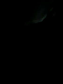 Snapshot of sebo801 chatting on 09-18-25, 05:31 sebo801 online show from 09-18-25, 05:31