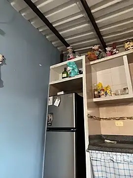 Snapshot of liahouses chatting on 11-14-25, 10:07 liahouses online show from 11-14-25, 10:07