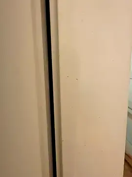 Snapshot of hhhajjib chatting on 11-17-25, 05:19 hhhajjib online show from 11-17-25, 05:19