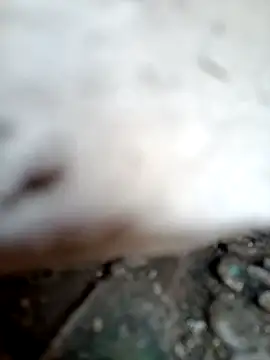 Snapshot of miss_riya_kol chatting on 10-09-25, 06:44 miss riya kol online show from 10-09-25, 06:44