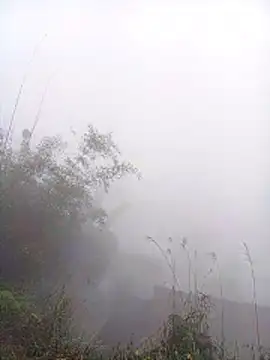 Snapshot of Mai_lovely chatting on 03-09-26, 04:05 Mai lovely online show from 03-09-26, 04:05