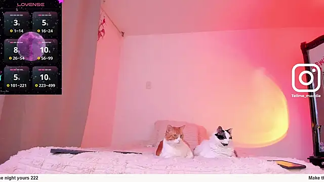 Snapshot of tellmemaddie chatting on 11-01-25, 08:11 tellmemaddie online show from 11-01-25, 08:11