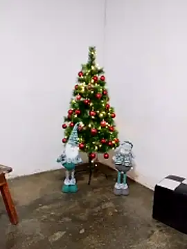 fabulousgirl online show from 12-20-25, 04:41