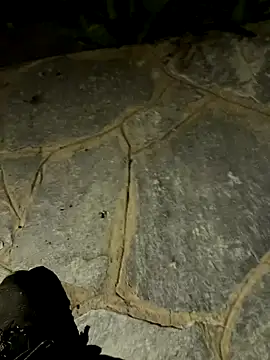 gptre online show from 09-30-25, 07:41