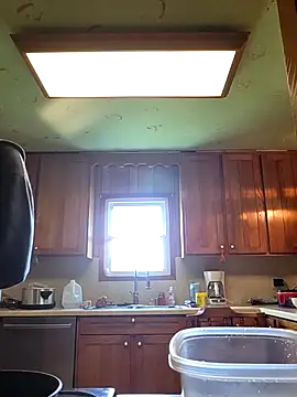 bear8t online show from 04-20-26, 05:26