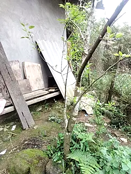 zhen-zo online show from 03-19-26, 01:20