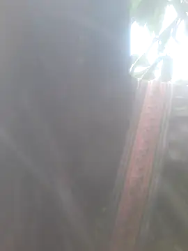 bree-zz online show from 11-10-25, 01:48