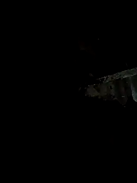 bree-zz online show from 01-11-26, 10:37