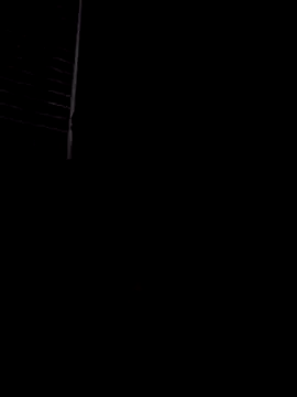 Elchimador44 online show from 12-02-25, 03:56