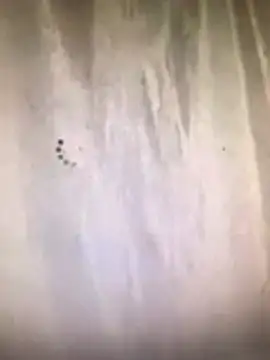 amasha200 online show from 03-09-26, 12:03