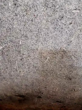 nagepalli online show from 11-14-25, 03:49