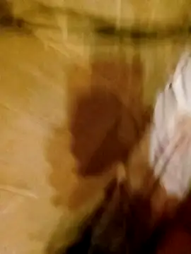 Apeesynka55211 online show from 03-11-26, 08:59