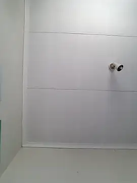 Snapshot of BrAdArT chatting on 10-27-25, 07:01 BrAdArT online show from 10-27-25, 07:01