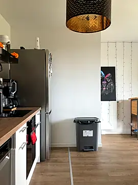 LaPetiteKim online show from 11-02-25, 01:13