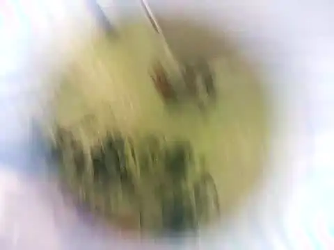 Snapshot of Masha412111 chatting on 10-22-25, 08:19 Masha412111 online show from 10-22-25, 08:19