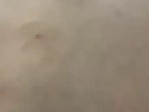 Snapshot of pleasedontpressaredburton chatting on 02-28-26, 03:29 pleasedontpressaredburton online show from 02-28-26, 03:29