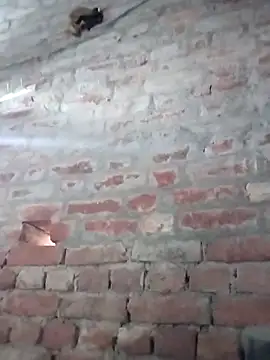 Snapshot of Rani_089 chatting on 10-06-25, 01:58 Rani 089 online show from 10-06-25, 01:58