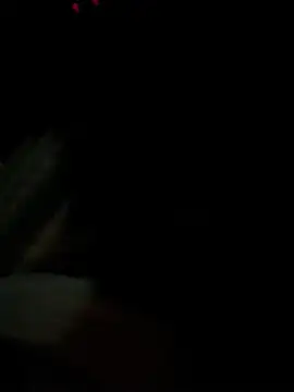 Snapshot of ayrtonmen chatting on 02-17-26, 06:54 ayrtonmen online show from 02-17-26, 06:54