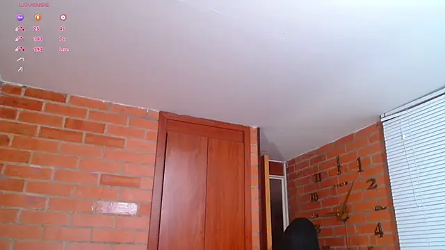 Snapshot of Salome-sw chatting on 02-02-25, 01:02 Salome-sw online show from 02-02-25, 01:02