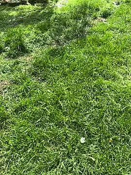 Joshman96 online show from 04-28-26, 11:43