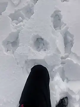 Snapshot of Sert_erkek21_ysm chatting on 01-06-26, 01:15 Sert erkek21 ysm online show from 01-06-26, 01:15