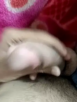 pn12345 online show from 11-09-25, 05:44