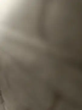 pn12345 online show from 12-15-25, 03:33