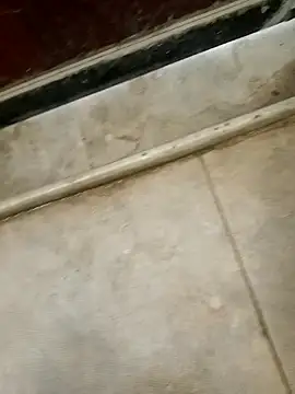 pn12345 online show from 12-18-25, 03:01