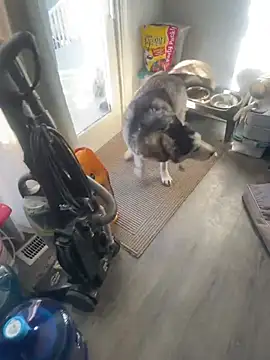 Jcaspen online show from 03-09-26, 01:04