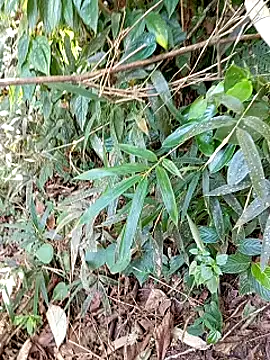 Snapshot of jerry-xx chatting on 10-29-25, 12:57 jerry-xx online show from 10-29-25, 12:57