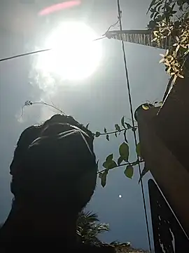 SL BEAR online show from 04-19-26, 06:46