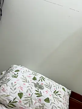 Ha 2660 online show from 10-22-25, 10:15