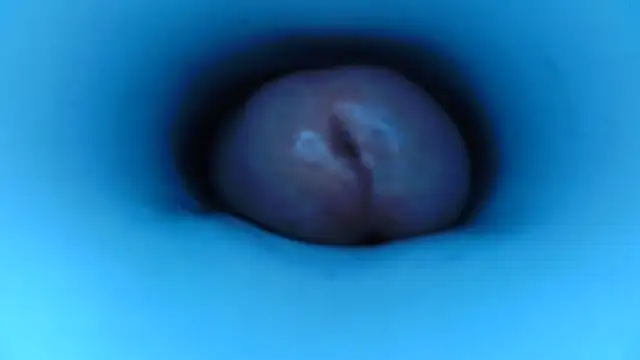 Snapshot of pedrolatino20cm chatting on 12-15-25, 02:21 pedrolatino20cm online show from 12-15-25, 02:21