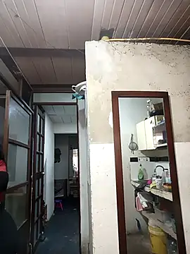 deseox05 online show from 11-19-25, 04:51