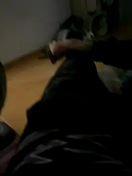 Snapshot of Gomes177 chatting on 10-12-25, 04:17 Gomes177 online show from 10-12-25, 04:17