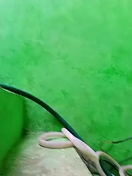 Karishma cute online show from 11-29-25, 04:48