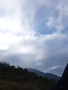 siusiu-00 online show from 11-22-25, 08:24